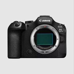 Саnon EOS R6 Mark III + RF 28-70mm f/2.8 IS sтm