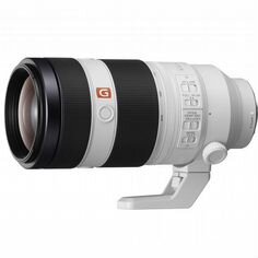 Sony FE 100-400mm f/4.5-5.6 GM OSS